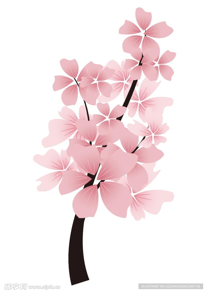 桃花