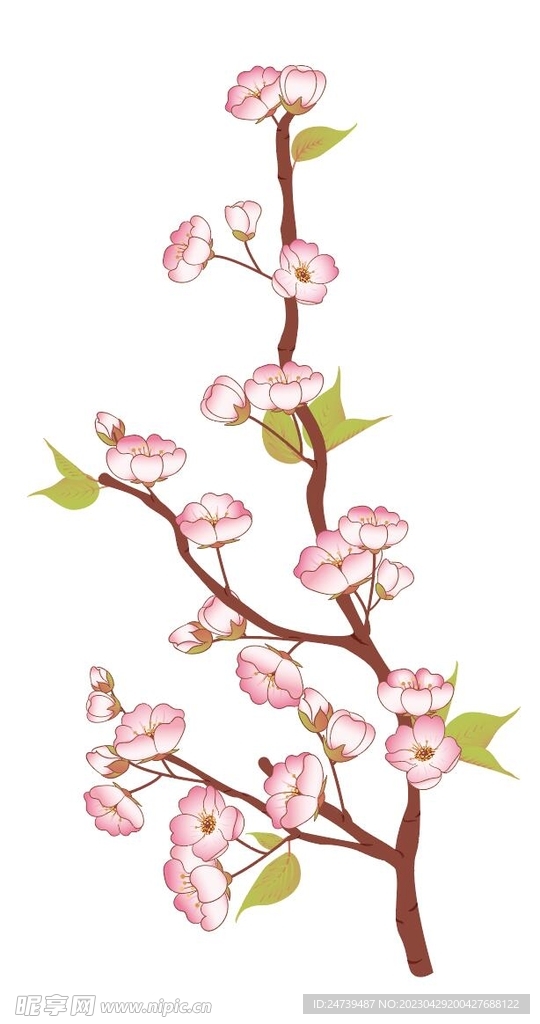 桃花