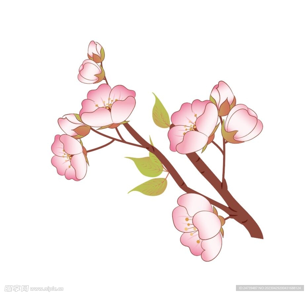 桃花