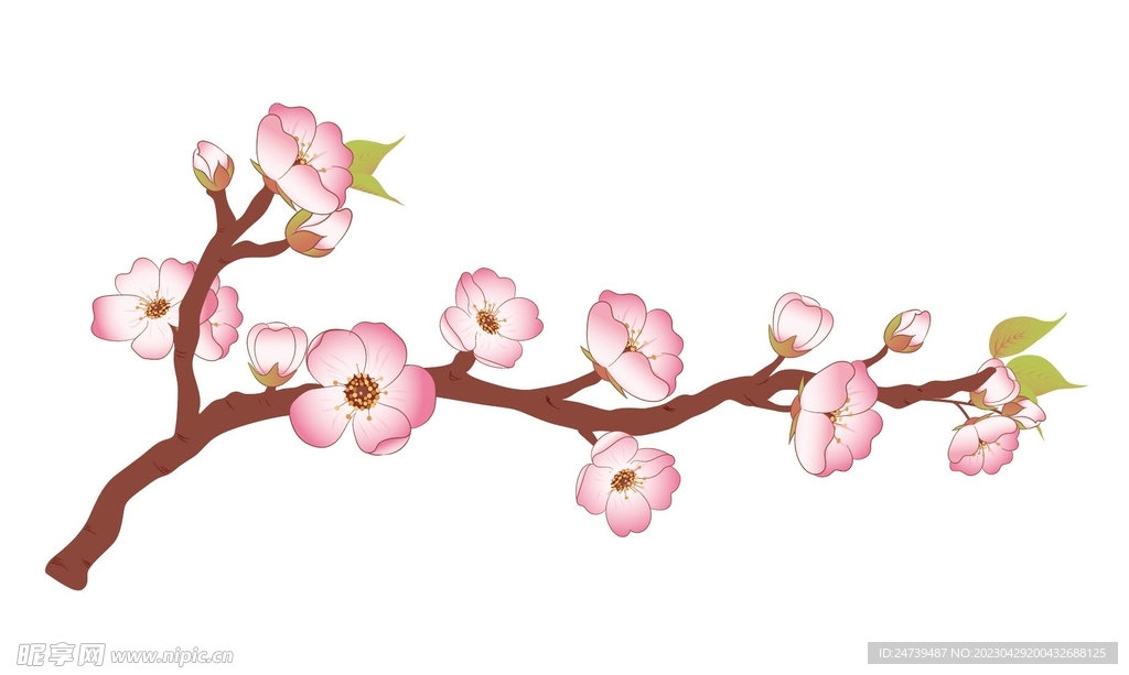 桃花