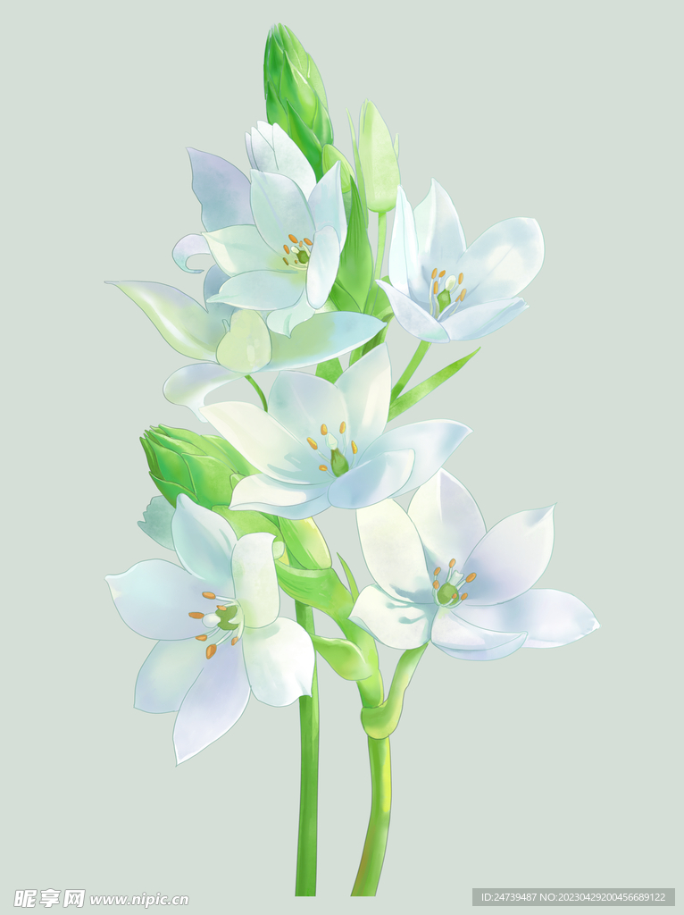 雀梅
