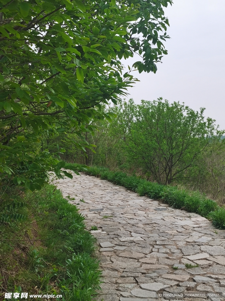 石路