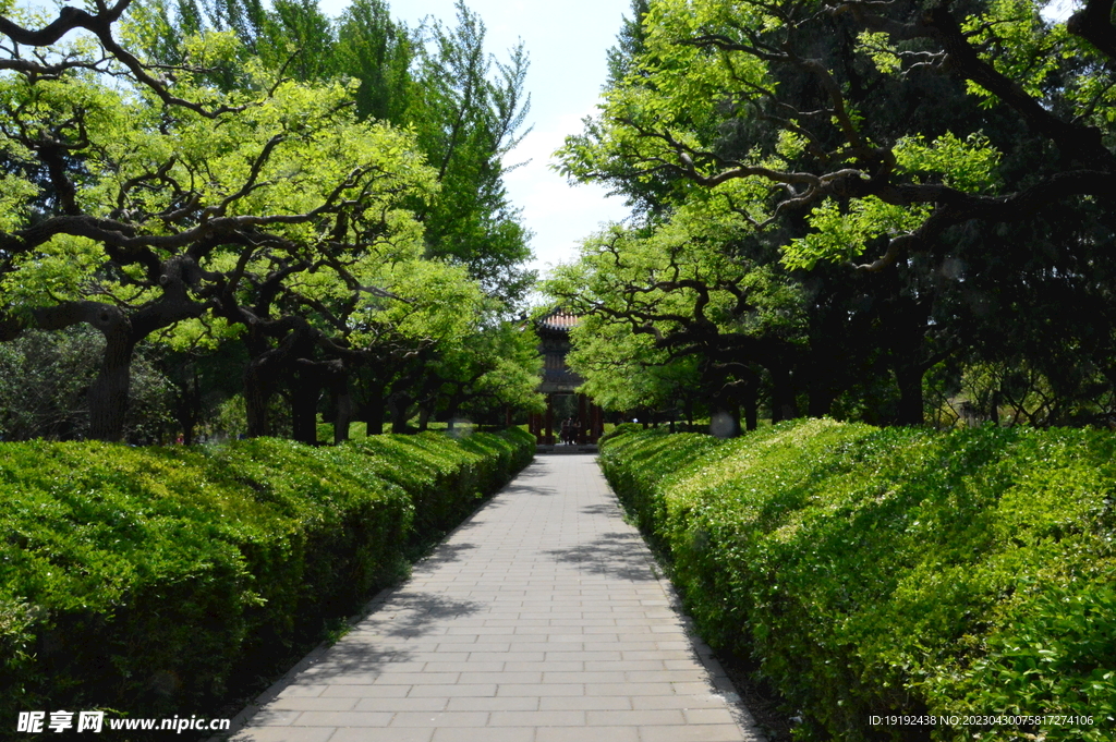 公园风景  