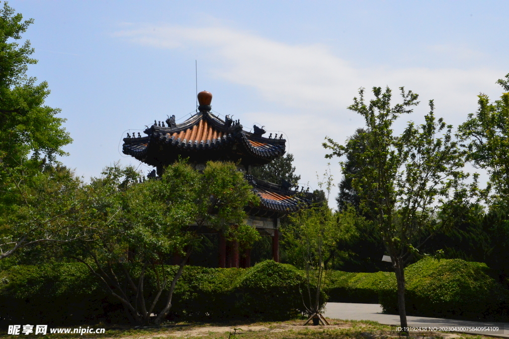 公园风景  