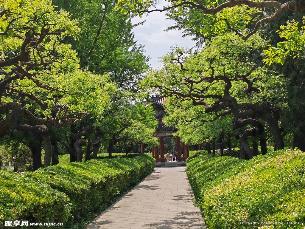 公园风景 