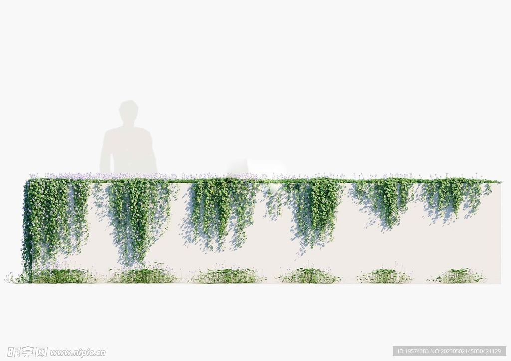 C4D模型  植物