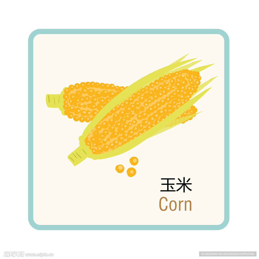 玉米