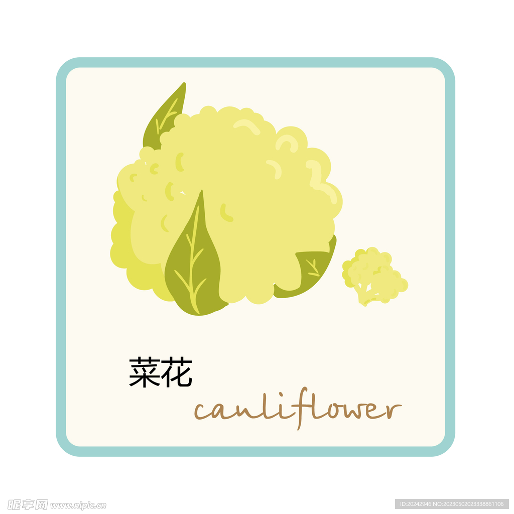 菜花  