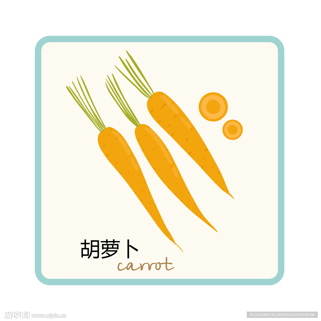 胡萝卜中英文卡片