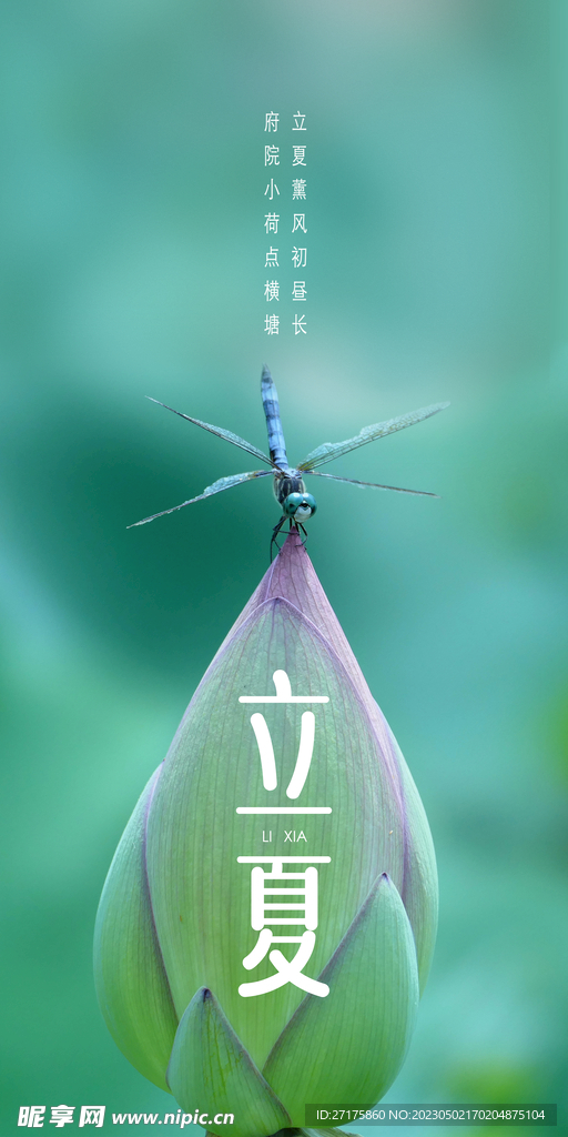 立夏