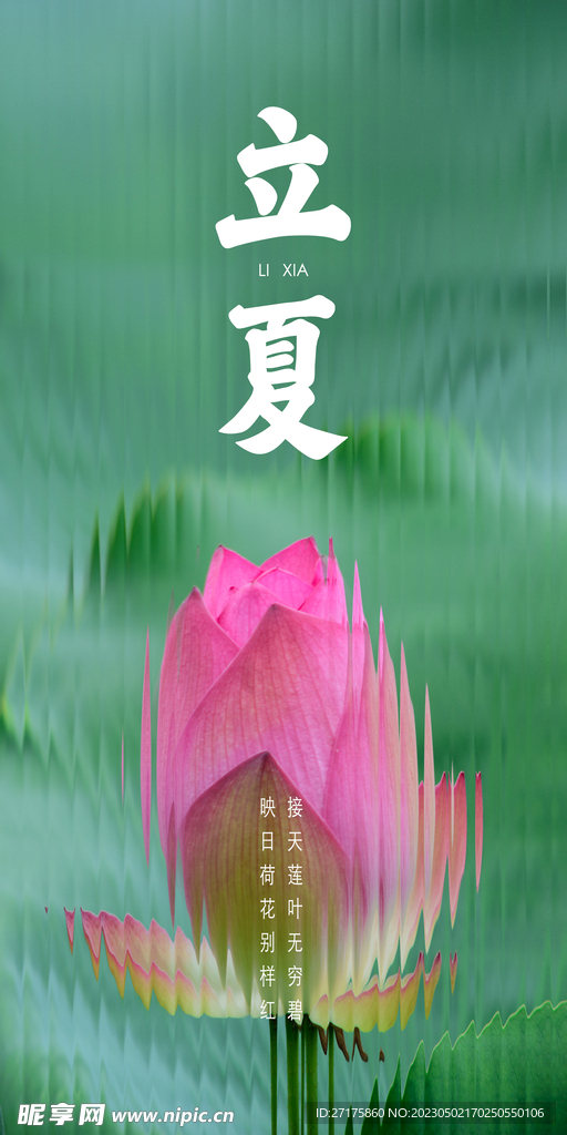 立夏