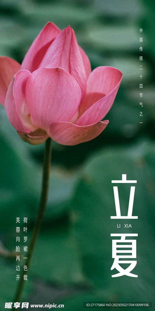 立夏