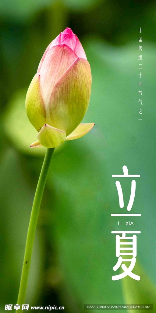 立夏