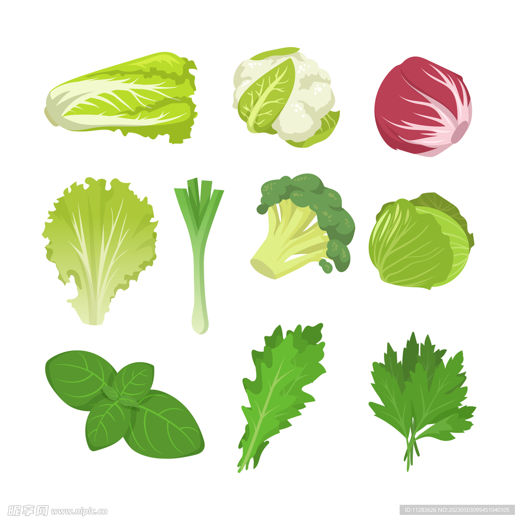 蔬菜插画