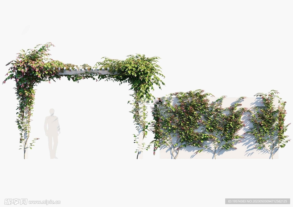 C4D模型 绿色植物  
