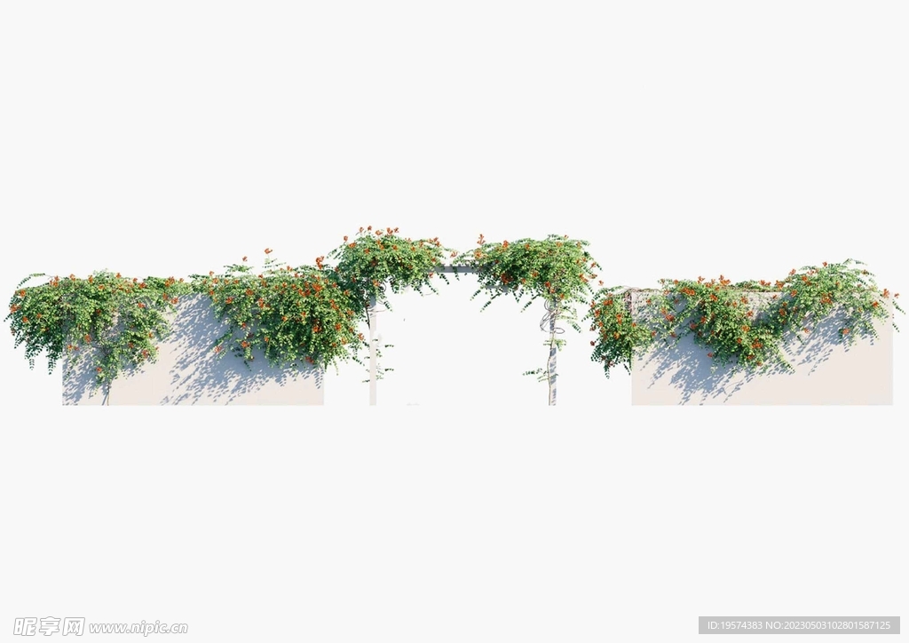 C4D模型 绿色植物 