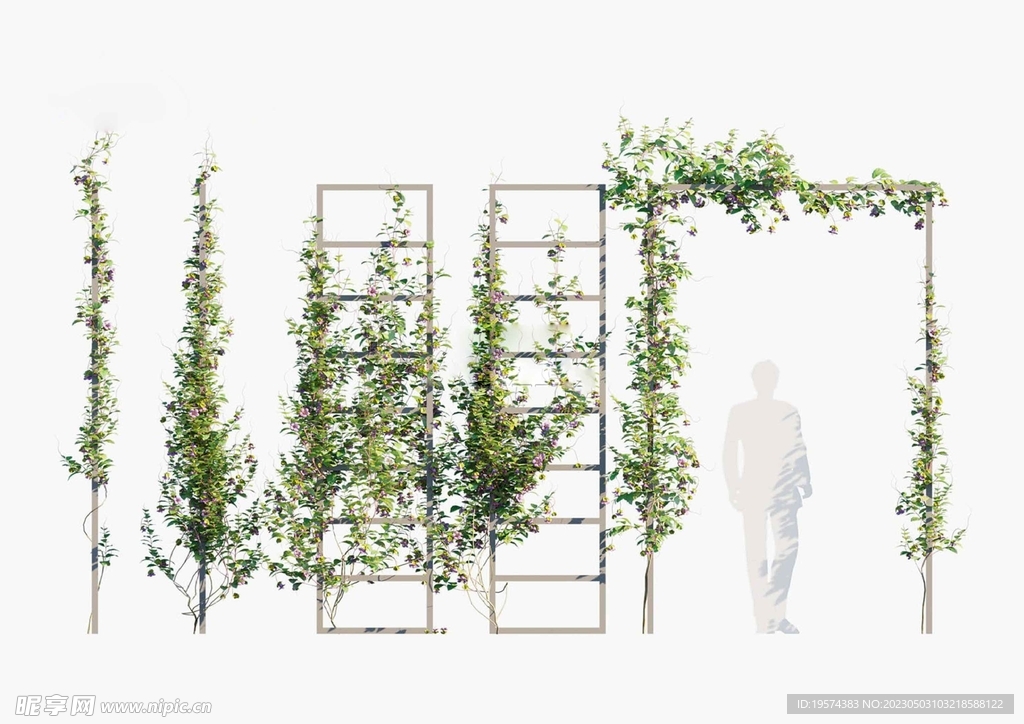C4D模型 绿色植物  