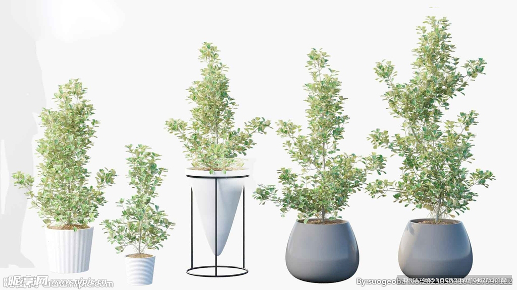 C4D模型 绿色植物 