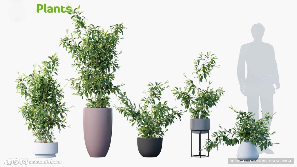  C4D模型 绿色植物 