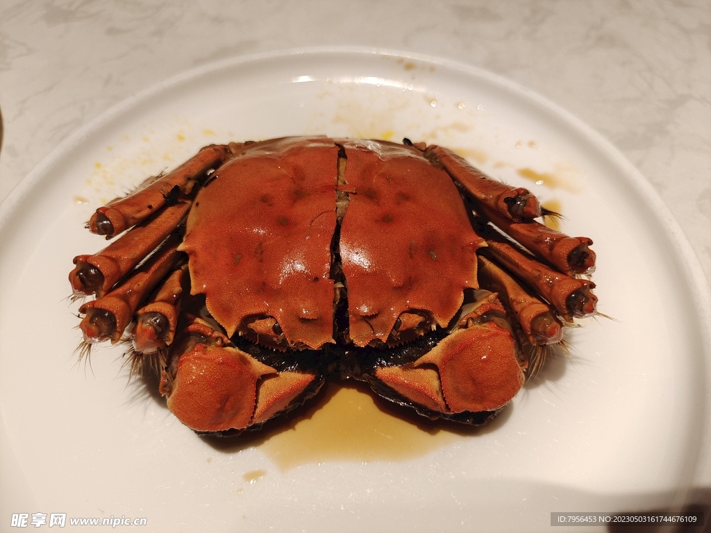 醉蟹