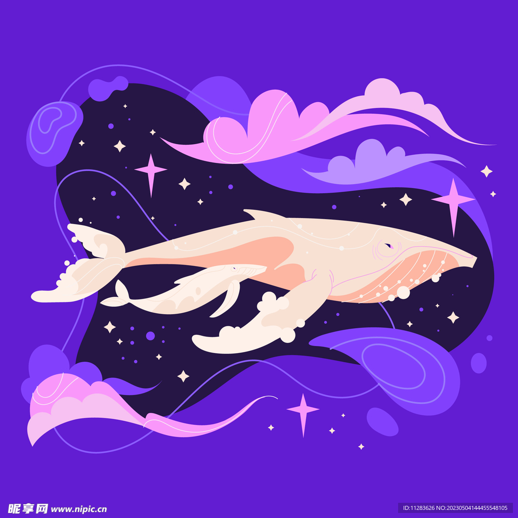 白色鲸鱼插画