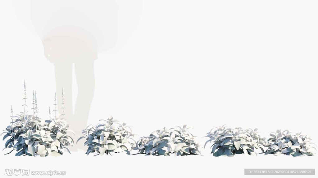 C4D模型 绿色植物  