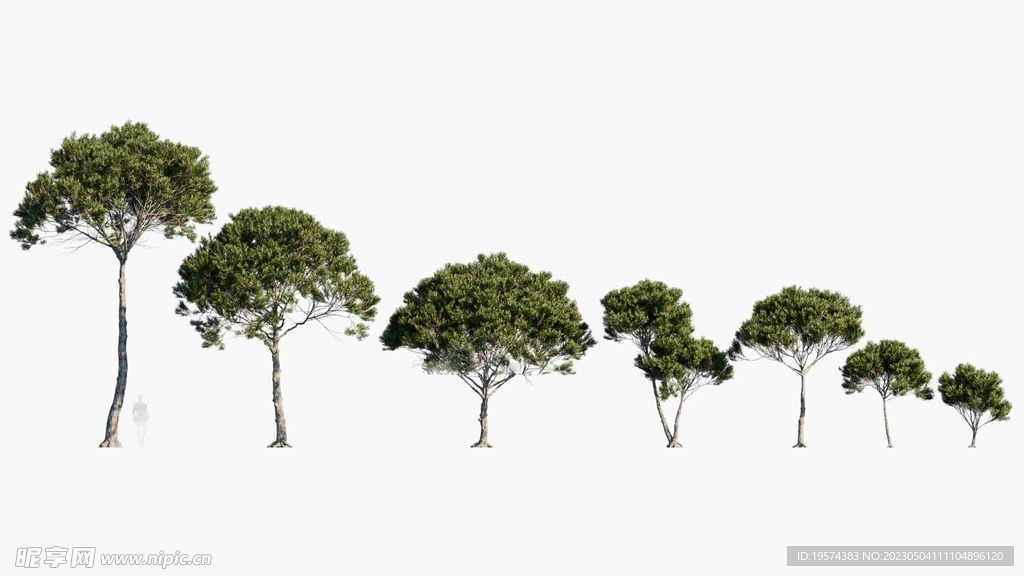 C4D模型绿色植物