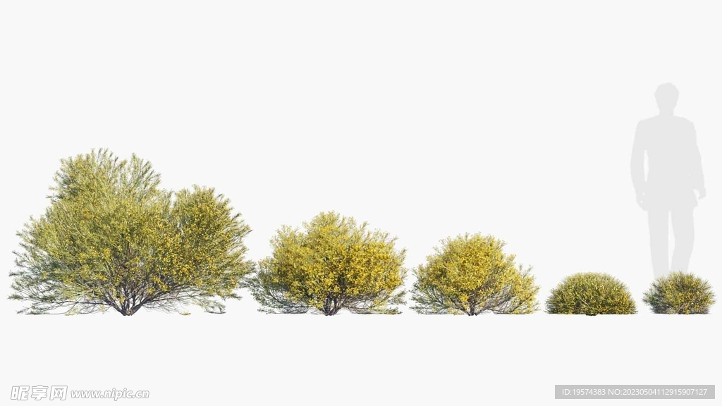 C4D模型 绿色植物 