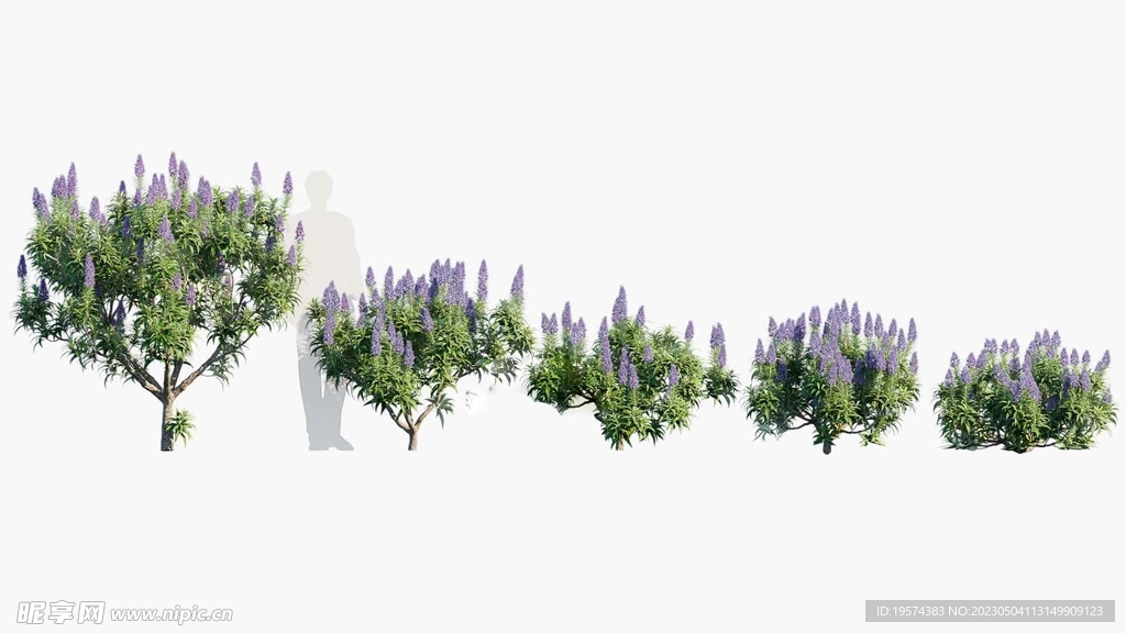 C4D模型 绿色植物 
