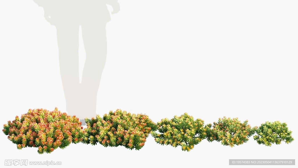 C4D模型 绿色植物 