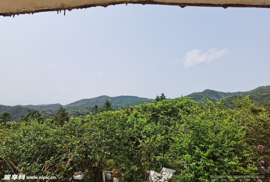 自然森林风光