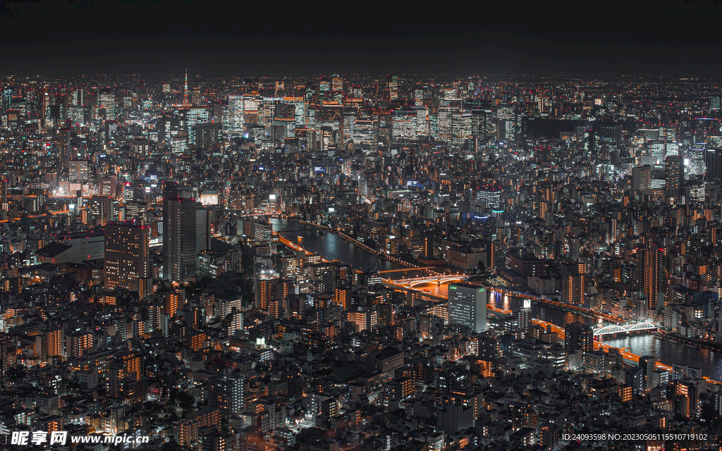 城市