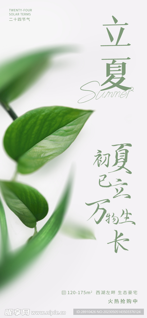 立夏节气海报