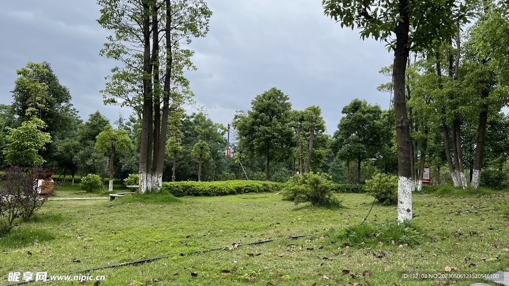 公园风景
