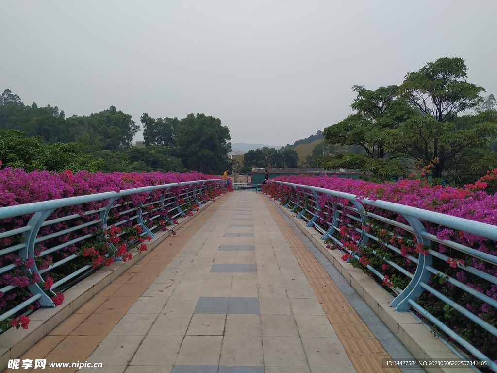 天桥和花