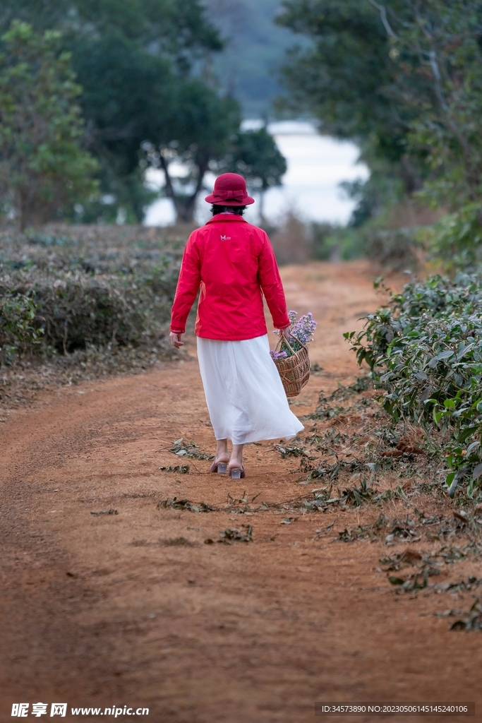 田野小路上的背影