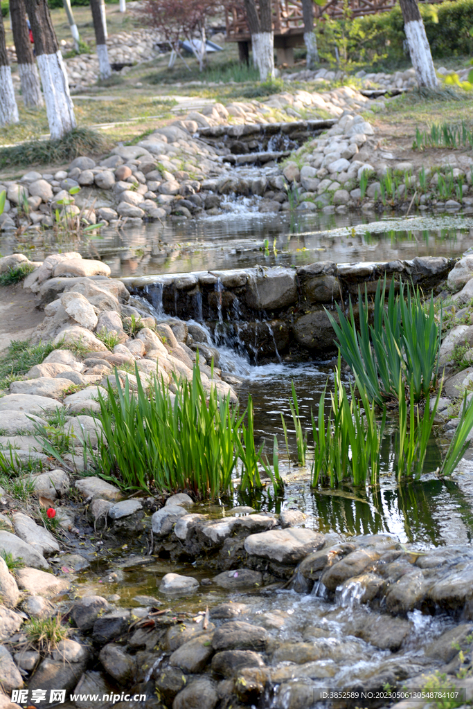 公园溪水风景    