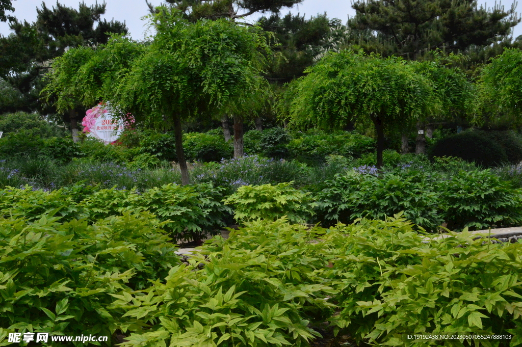 公园风景  