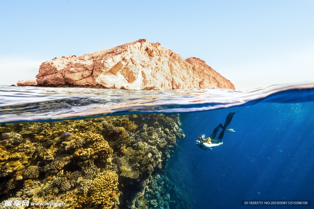 蓝海海洋潜水游泳运动图 