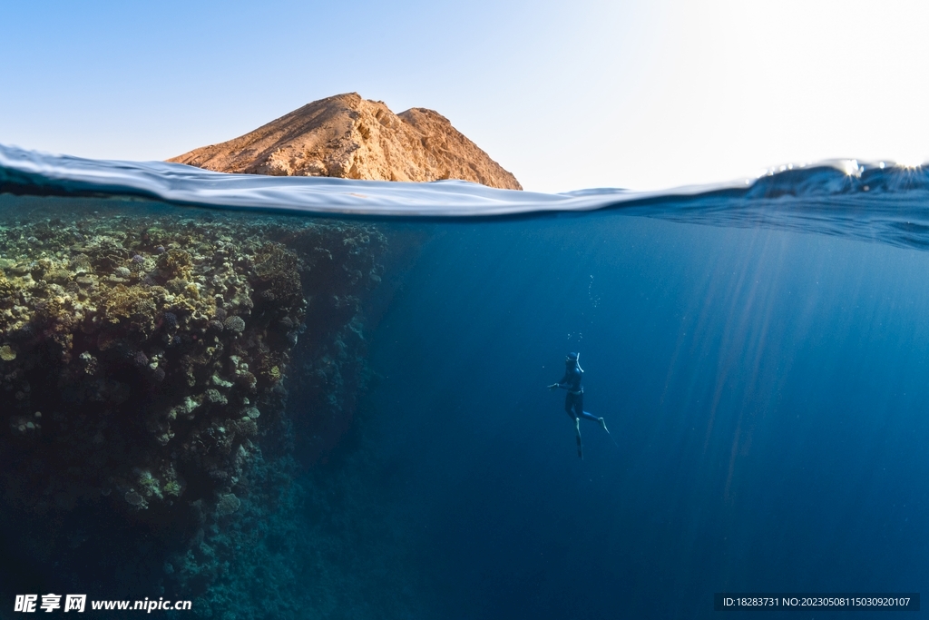 蓝海海洋潜水游泳运动图 