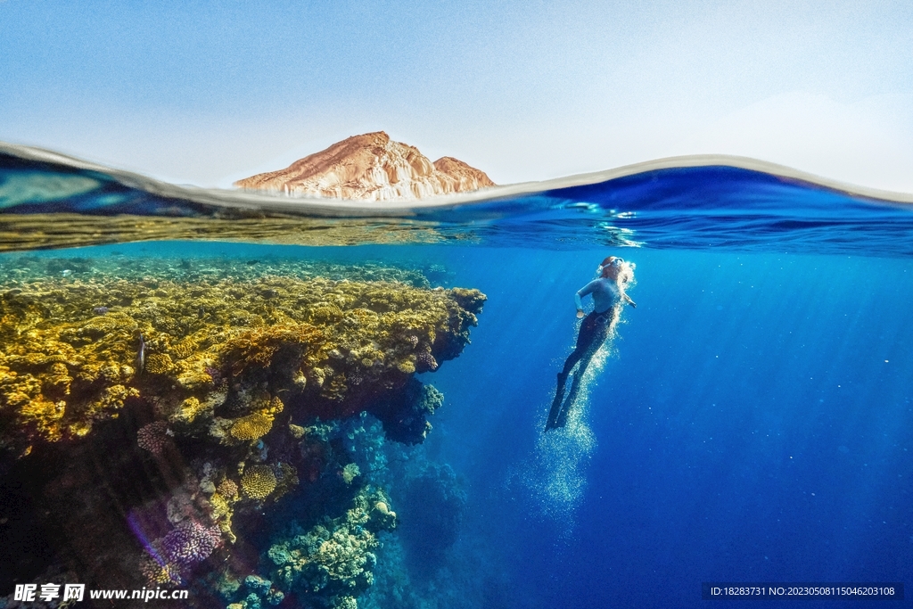 蓝海海洋潜水游泳运动图  