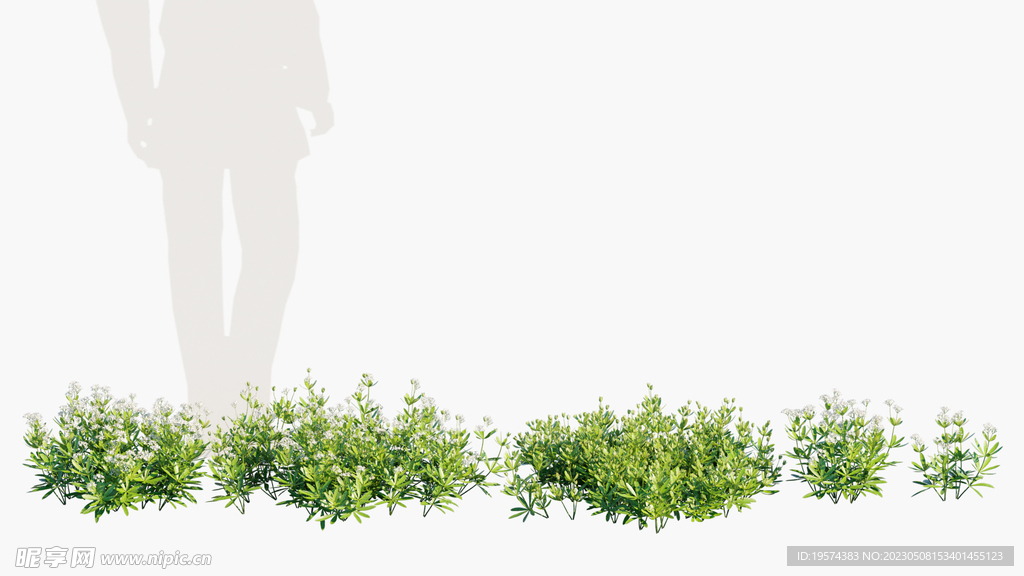 C4D模型 植物