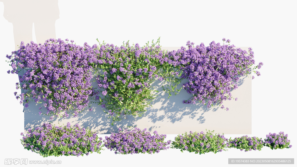 C4D模型 爬山虎