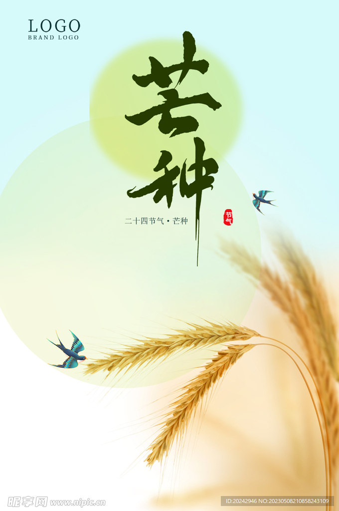 芒种海报