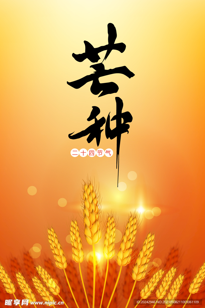 芒种海报