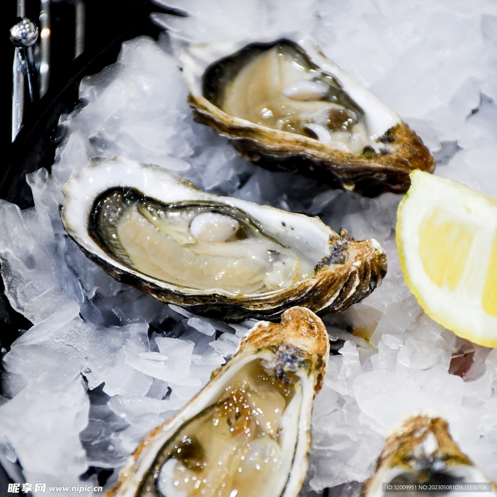 生蚝             