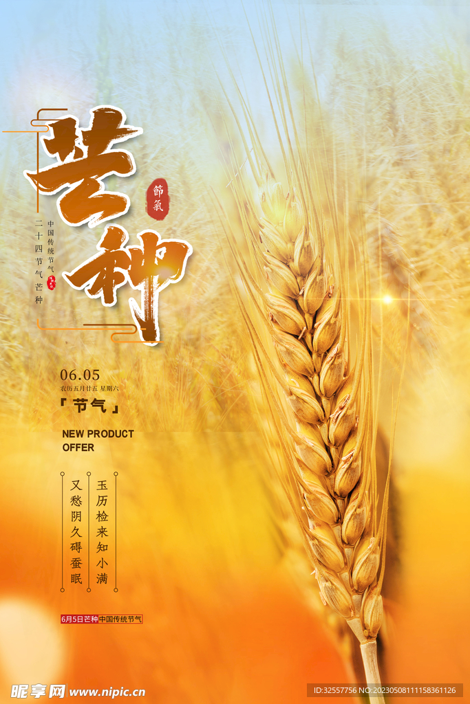 芒种种麦子节气海报