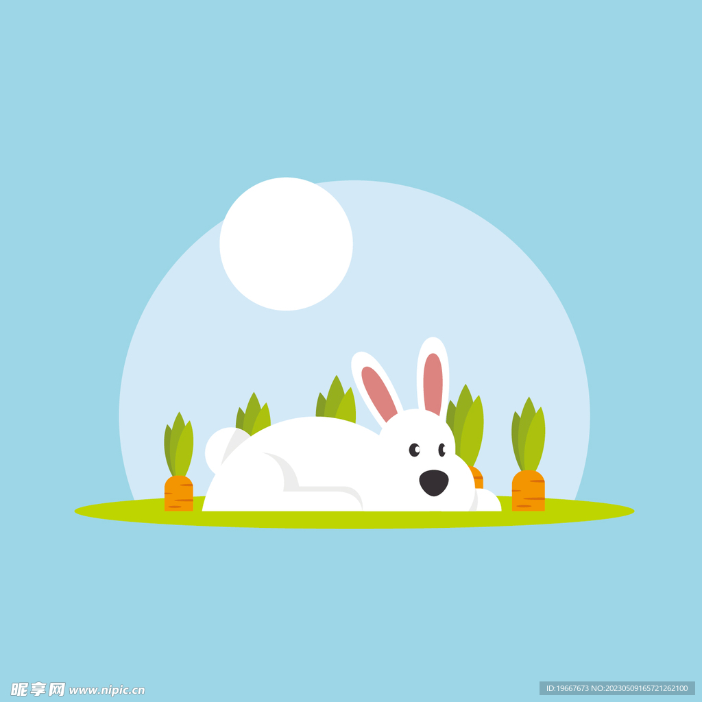 兔子