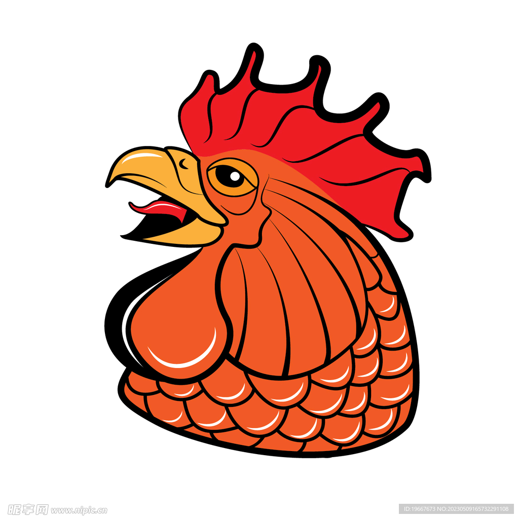 鸡头