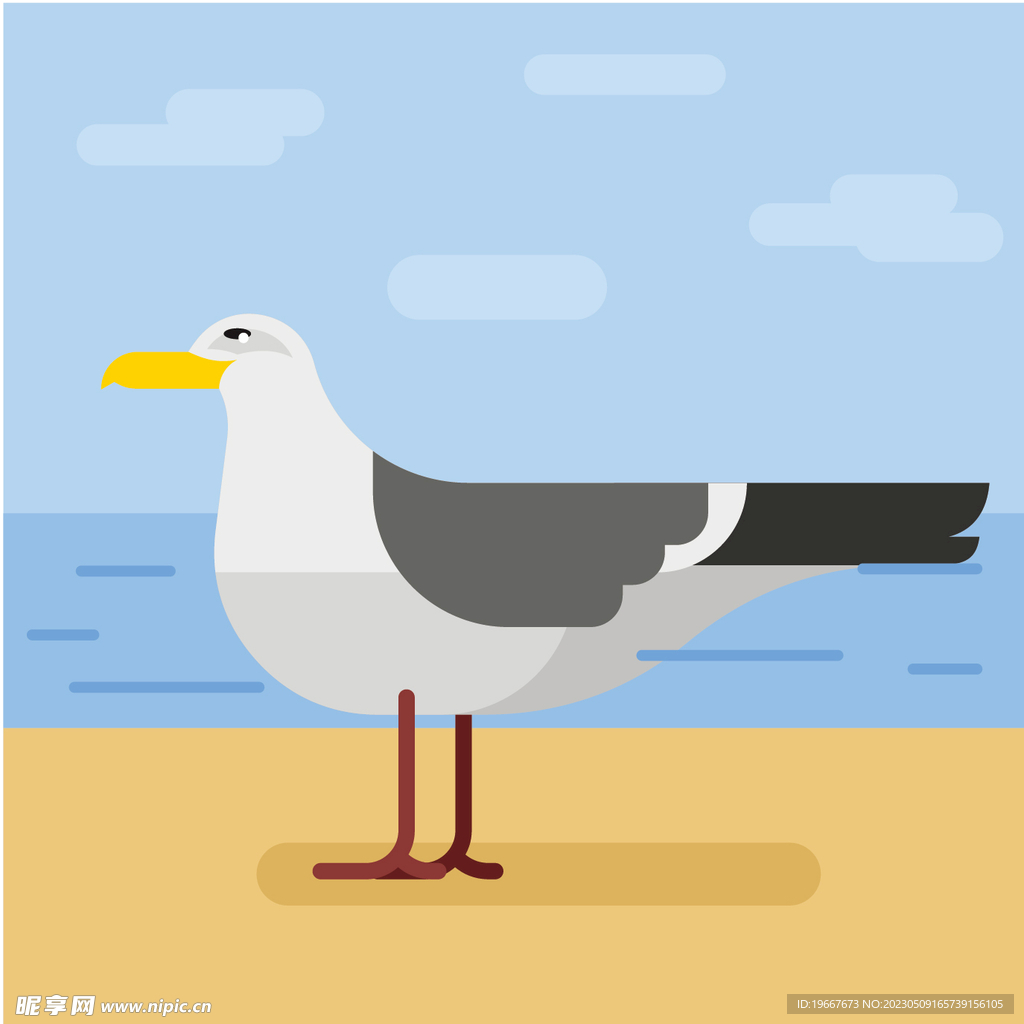 海鸥